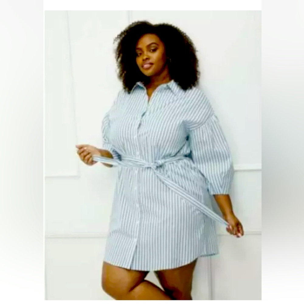 NWOT- Eloquii Elements button front shirt dress